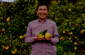 オンラインツアー動画